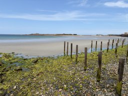 202607-h-Vazon