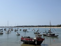 202607-j-MontOrgueil